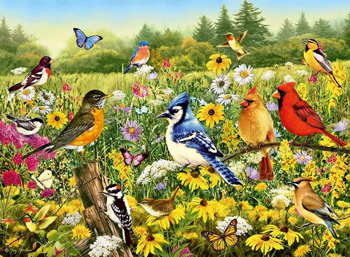 Ravensburger Vogels Landschap Puzzel 500 Stuks - Multicolor