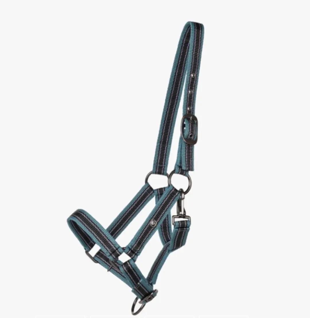 QHP Halster Veulen OCEAN BREEZE