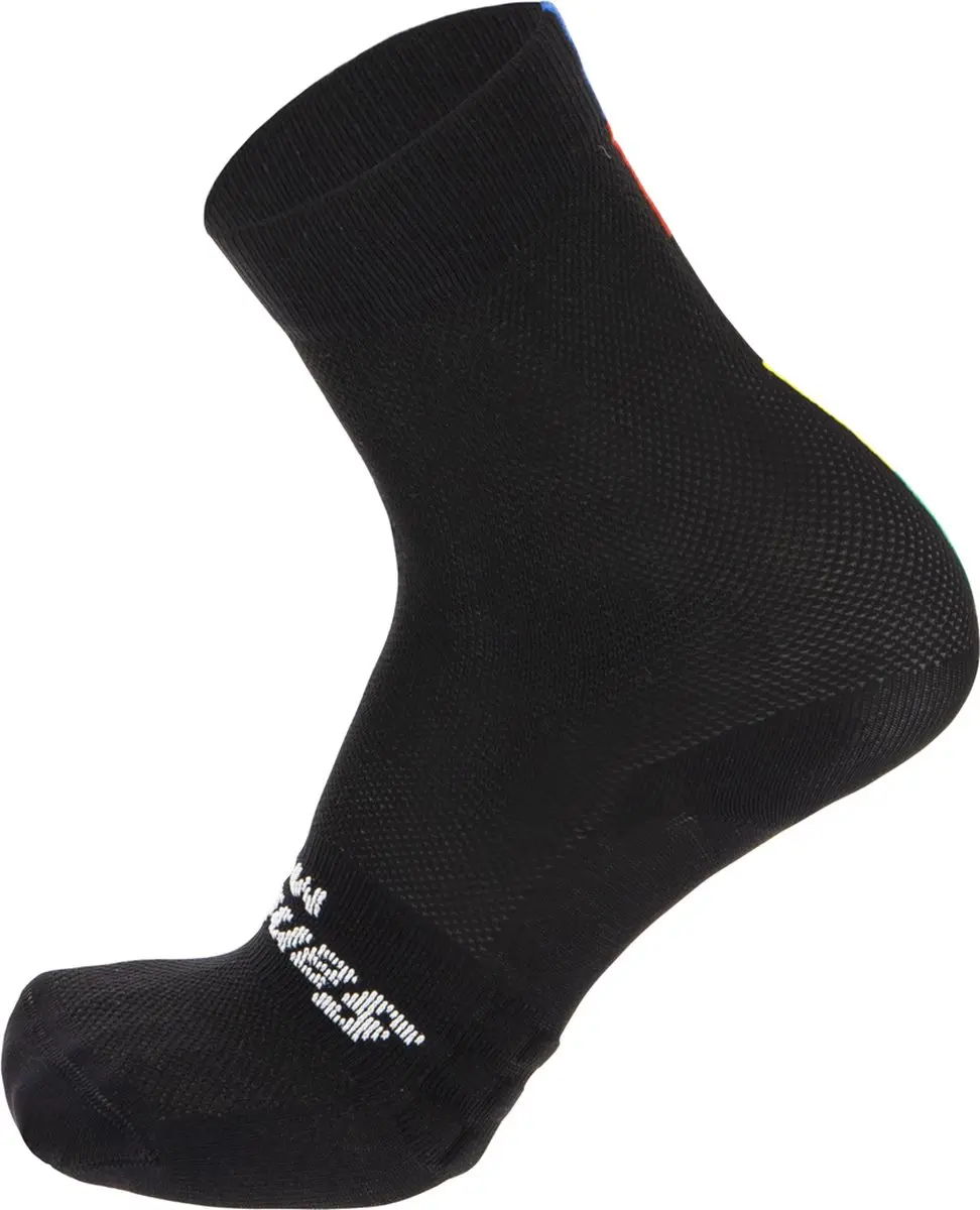 Santini UCI Rainbow Sokken