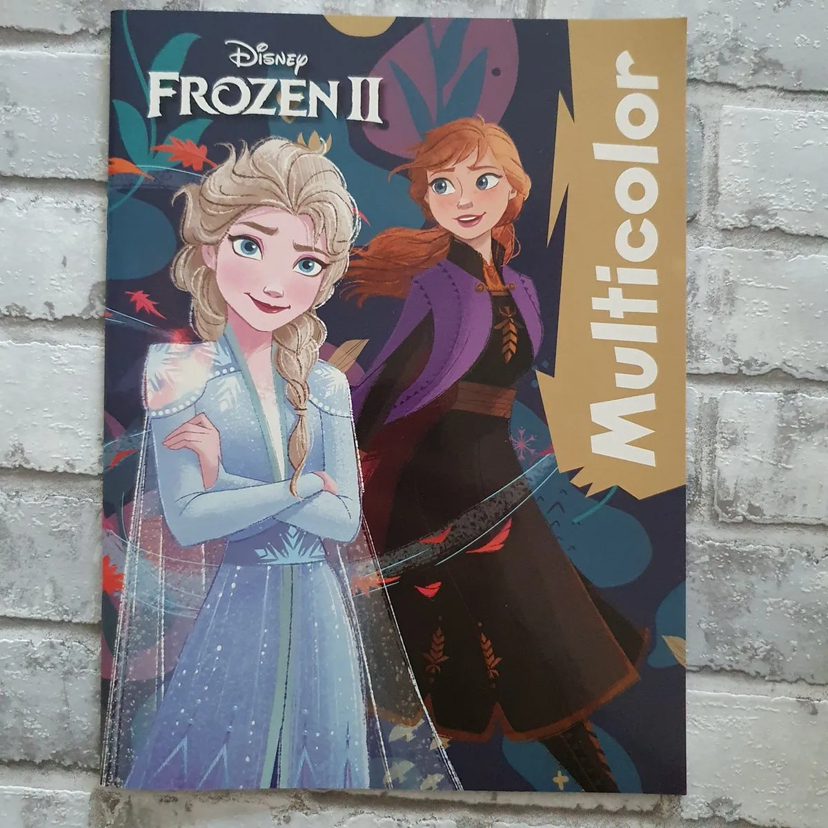 Disney Frozen 2 Kleurboek Anna & Elsa