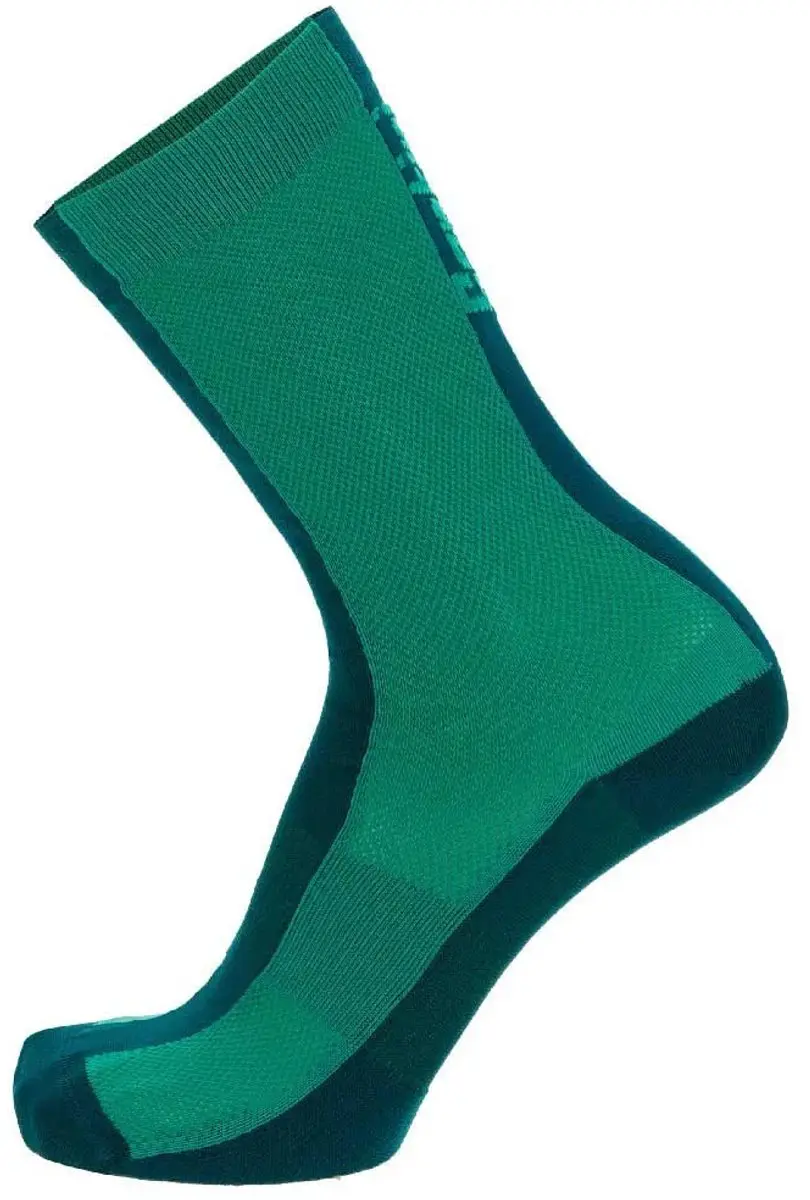 Santini Puro Lange Sokken Groen EU 36-39