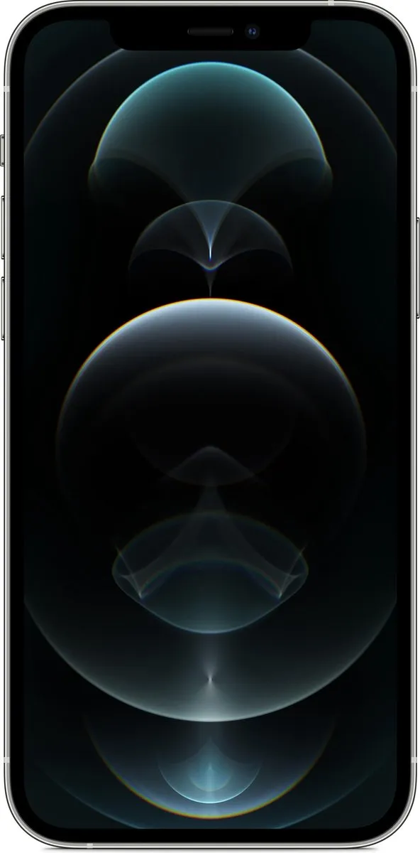 Apple iPhone 12 Pro MGMQ3ZD/A - 256GB - Zilver