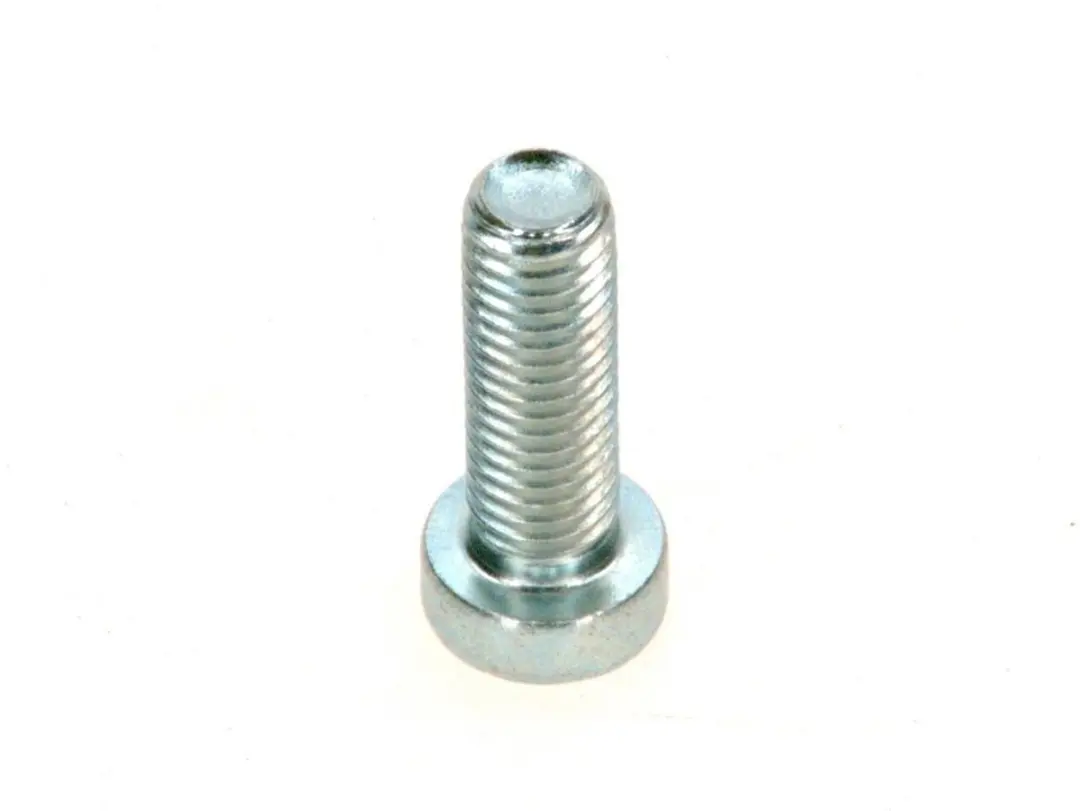 BOSCH Cil.-schr. DIN7984 M8x25 8.8 A3K (2x), 8718584683