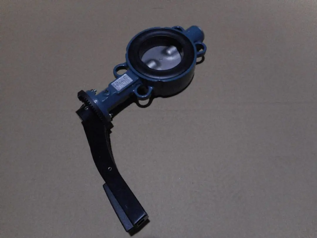 Remeha Tussenbouwklep Z011 DN80 EBRO, 7672840