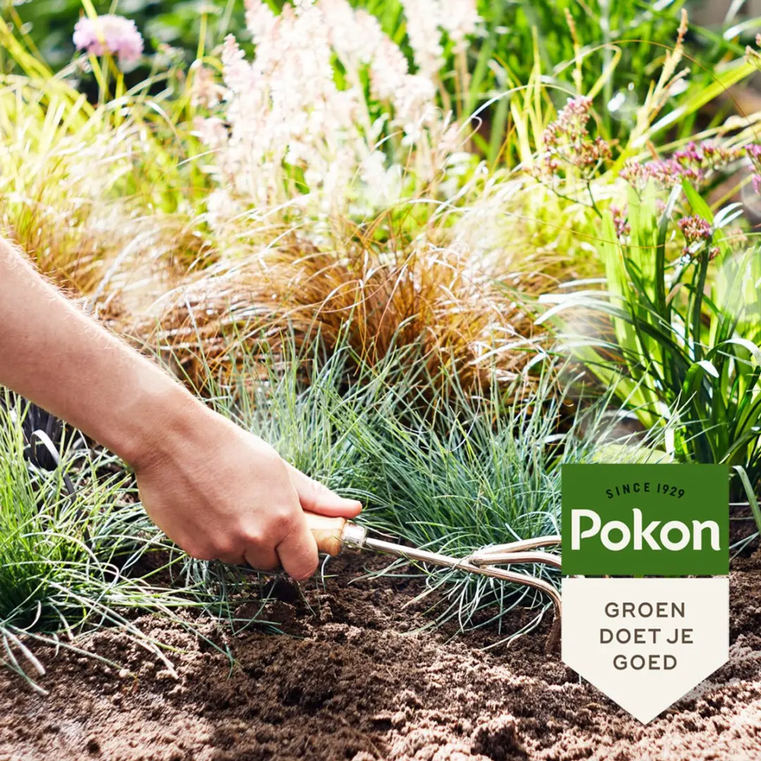 Pokon Siergrassen & Bamboe Mest 1kg - afbeelding 3 van 5