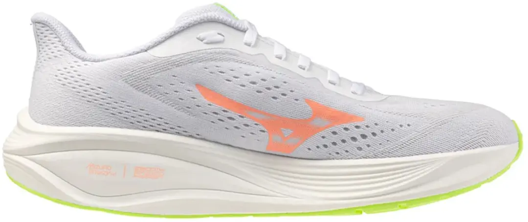 Mizuno Neo Daichi 10 Gore-Tex Trailschoenen