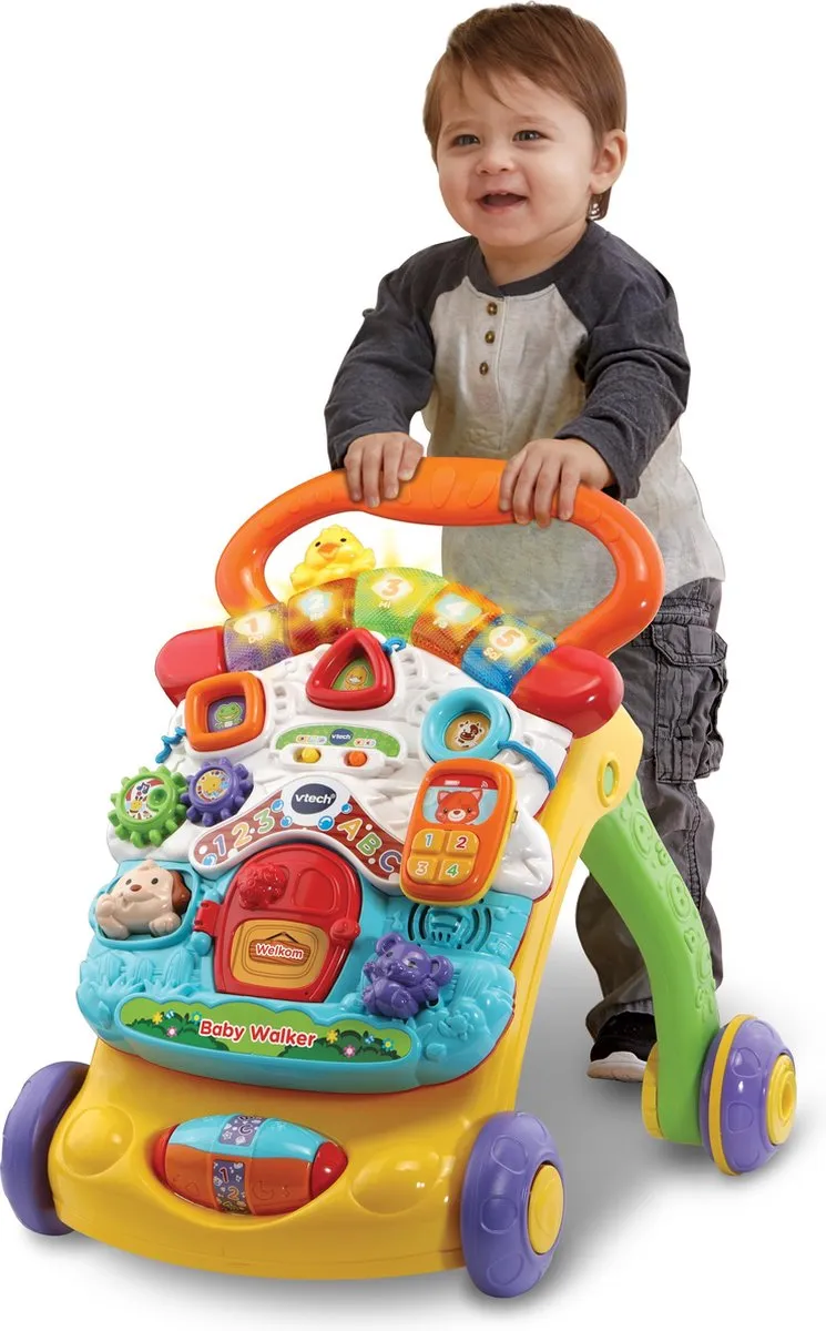 VTech 2-in-1 Baby Walker 80-505623 - Multikleuren
