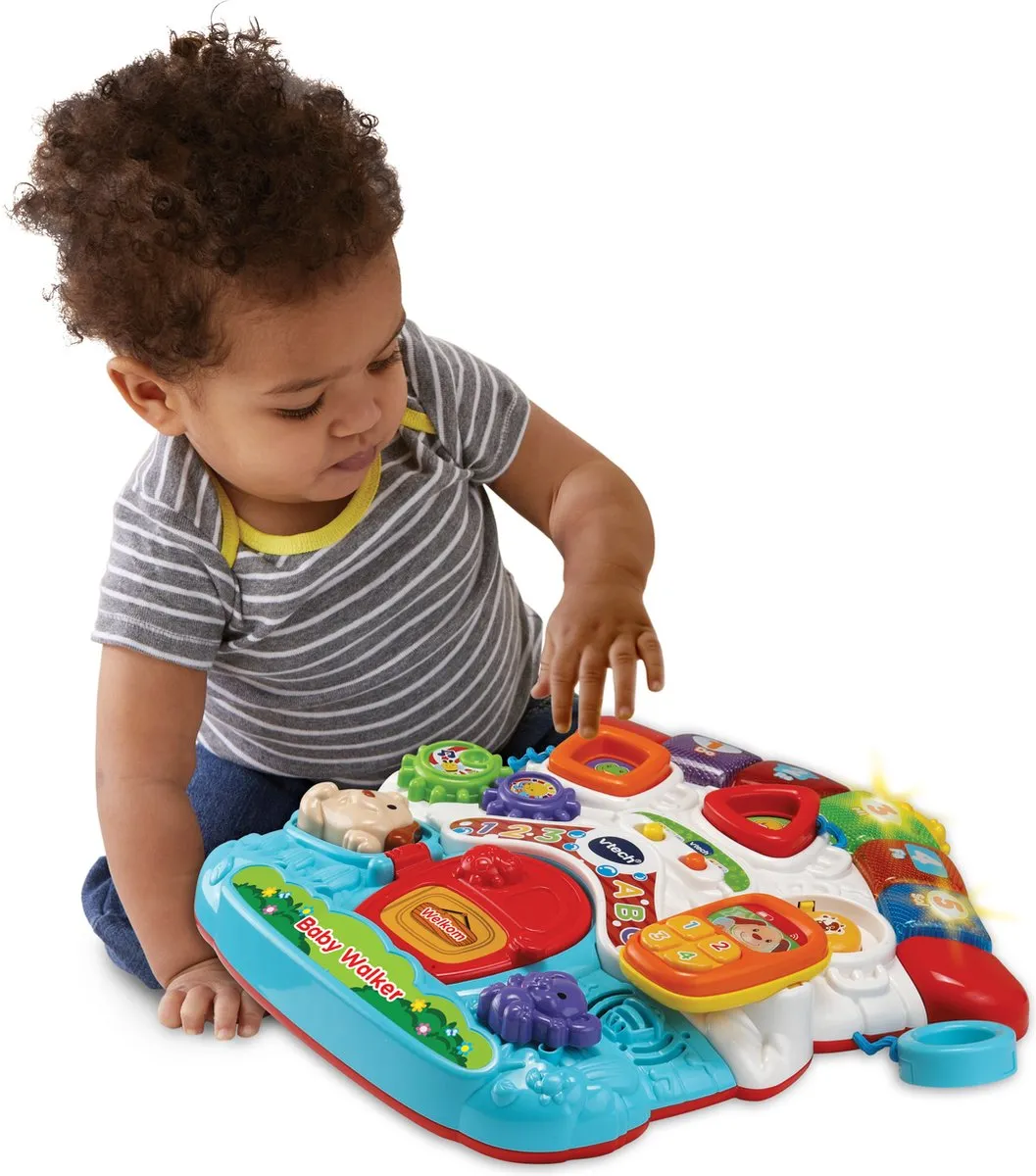 VTech 2-in-1 Baby Walker 80-505623 - Multikleuren