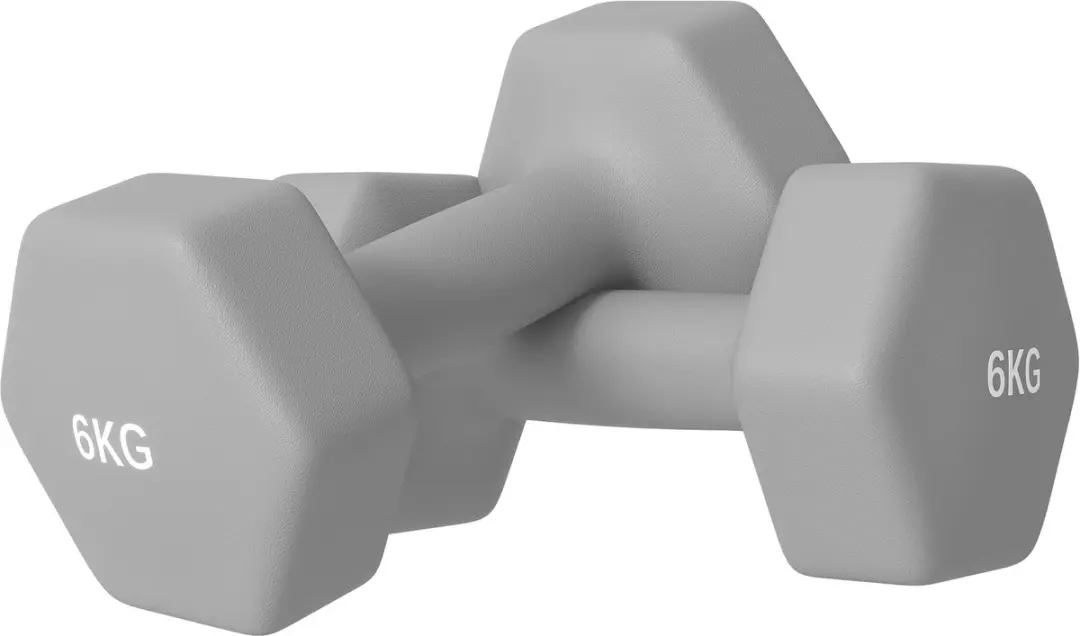 SPORTNOW Rubberen Dumbbell Metaal, Kunststof 22L x 10B x 10H cm Grijs