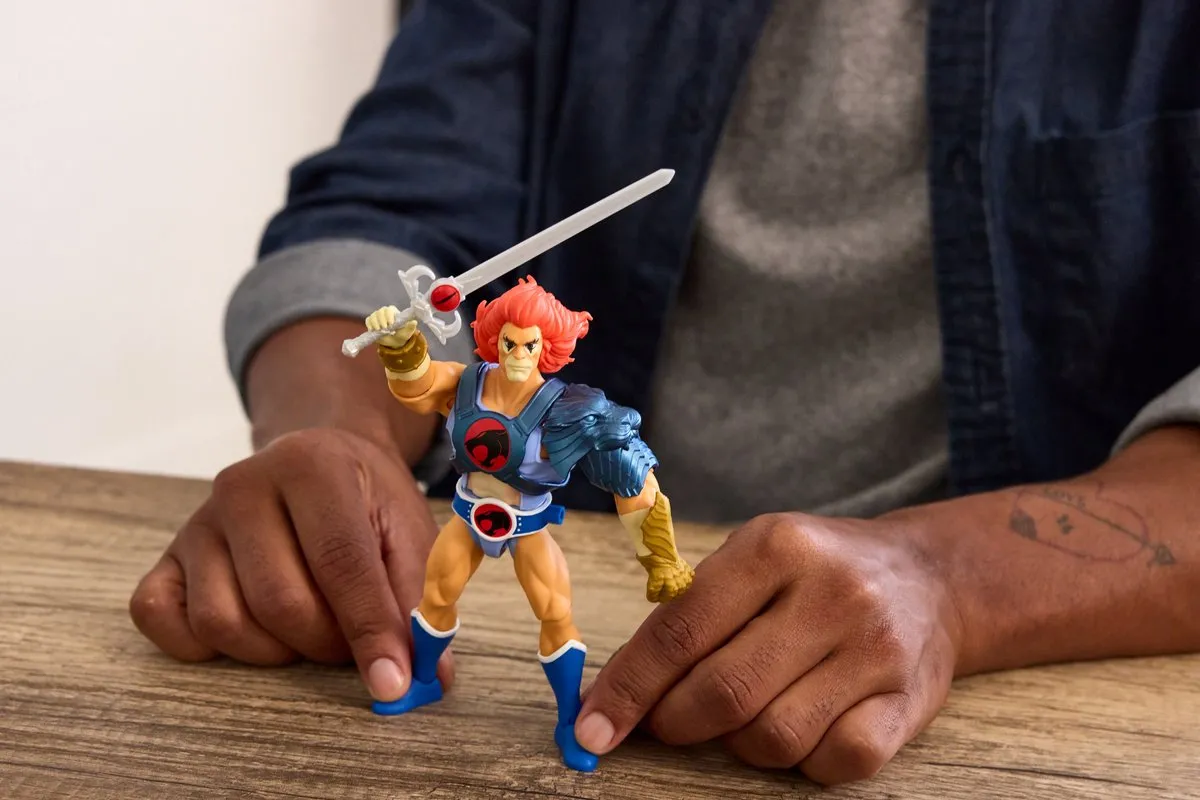 Mattel Masters of the Universe x ThunderCats Lion-O Action Figuur 14cm - Multi