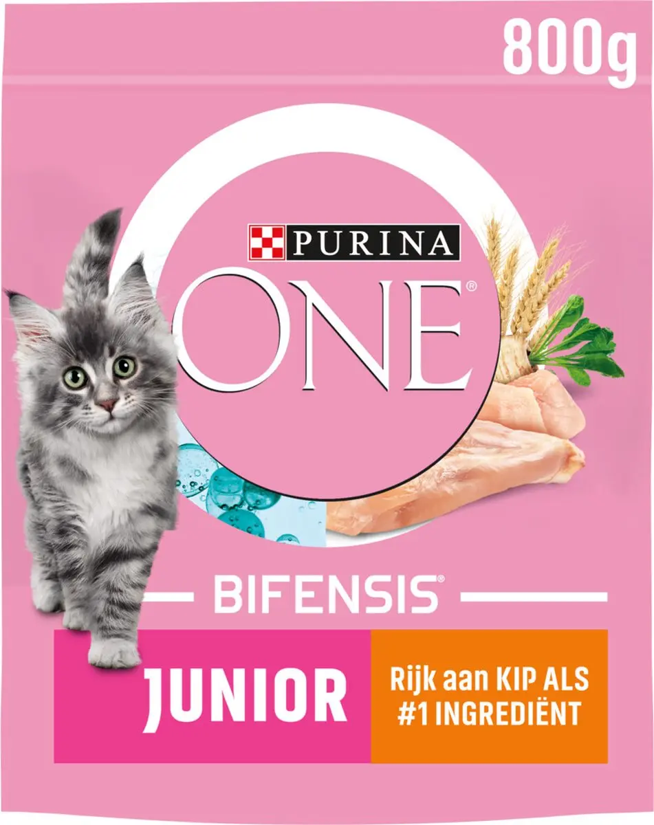 Purina ONE Junior Kip 800g