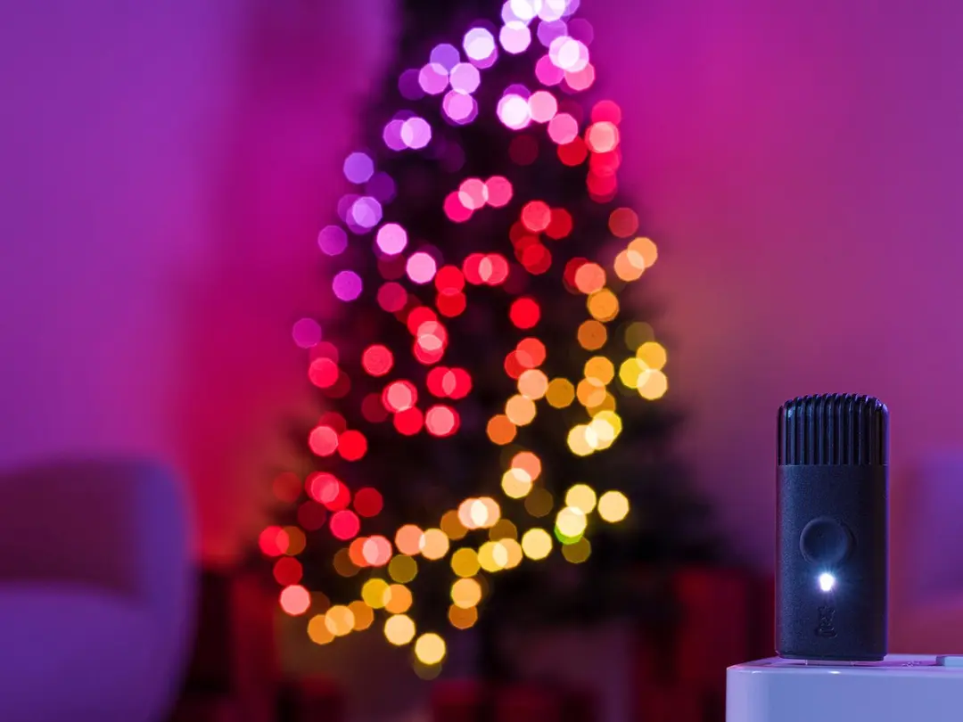 Twinkly Strings Lichtsnoer 750LED RGB 60m - Zwart - afbeelding 6 van 6