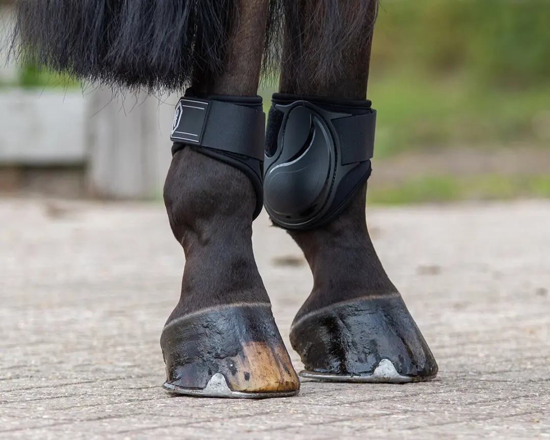 QHP Strijklappen Champ Navy Pony - 2 Stuks - afbeelding 6 van 6