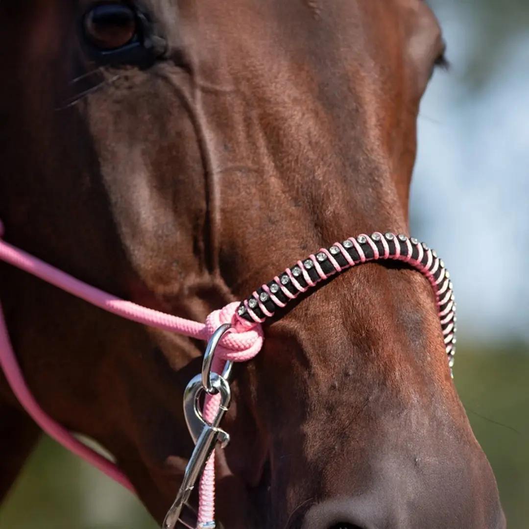 QHP Touwhalster Combi Neckrope Liberty - Cob - Flamingo Pink