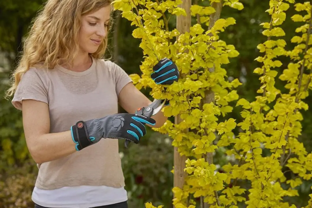 Gardena Handschoenen Struikonderhoud Maat M - afbeelding 3 van 6