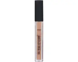 Make-up Studio Lip Gloss Paint