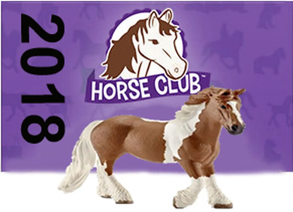 Schleich Horse Club English Thoroughbred Foal 13857 - Bruin
