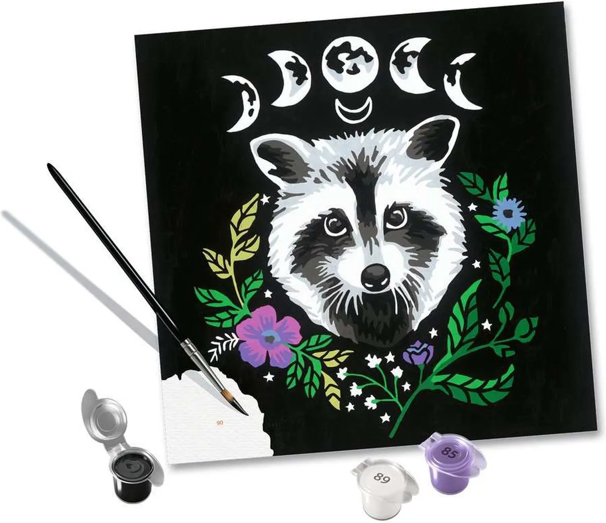 Ravensburger Pixie Cold Edition Raccoon Schilderen op nummer - Multicolor
