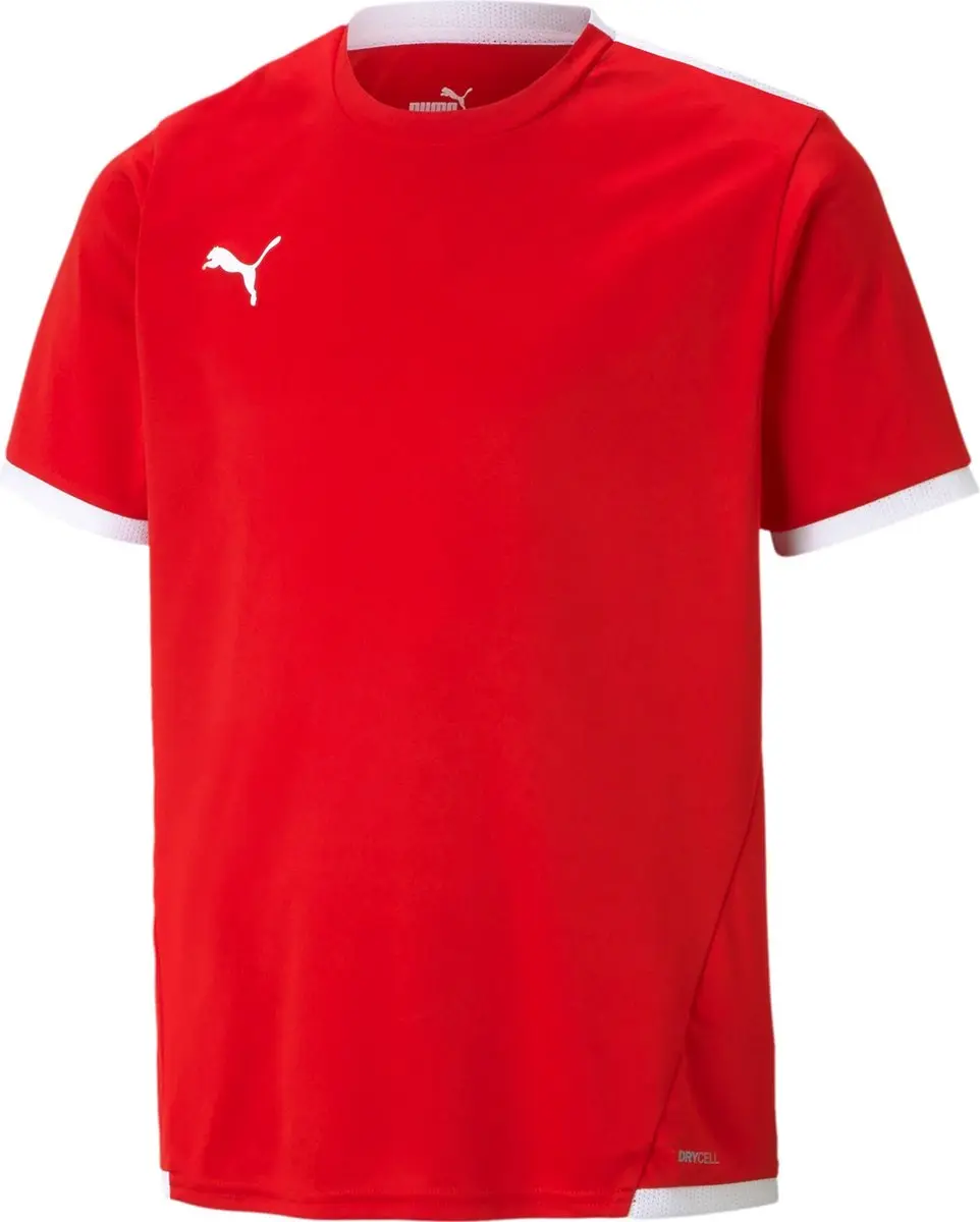 PUMA TeamLIGA Jersey Unisex 128 - Rood