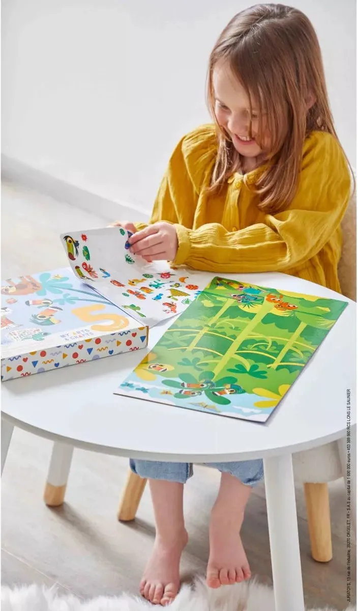 Janod My Arts & Crafts Knutselset - Multikleur