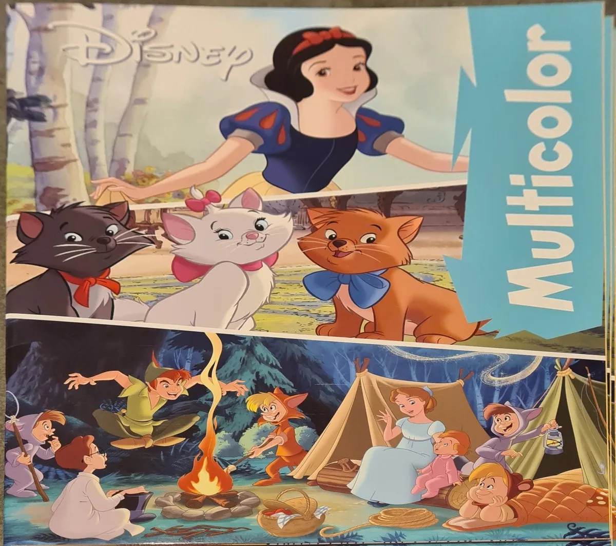 Disney Assepoester Kleurboek 32 Pagina