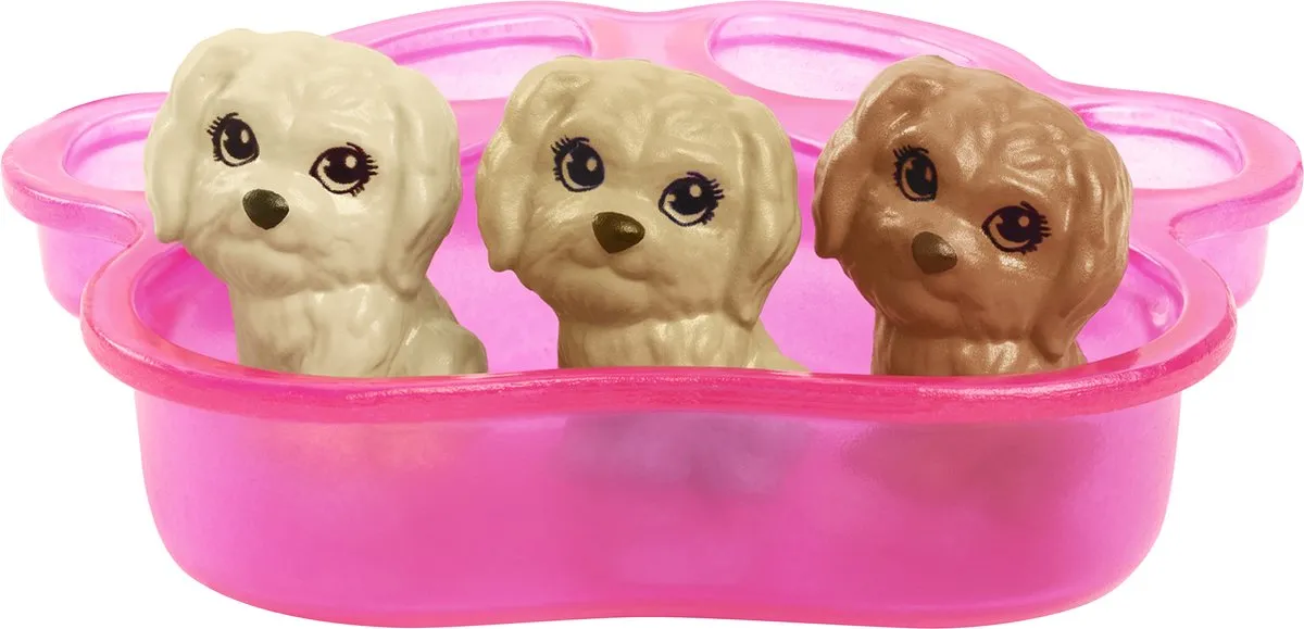 Barbie HCK75 Pop met Hond en Puppy's