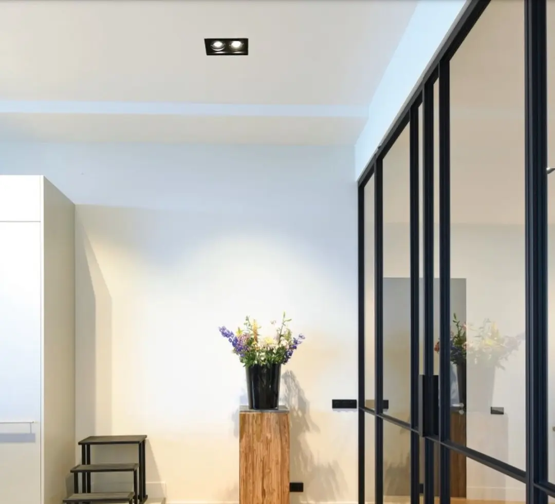 Inbouwspot Tavira Zwart GU10 2 Lichts