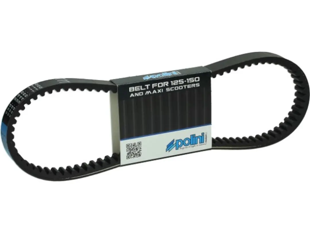 Courroie de transmission Polini pour Scooter Honda 125 SH 2001 à 2020 248.115 N