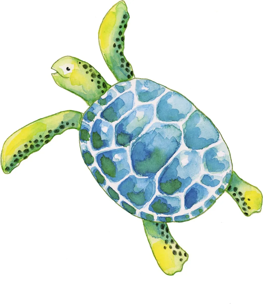 Faber-Castell Aquarel Kleurpotloodset 12 Stuks FC-114413