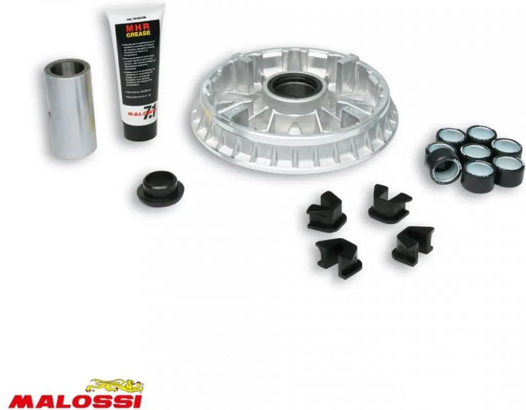 malossi snelheidsregelaar voor scooter mbk 400 skyliner 2004-2008 5113595 / h317