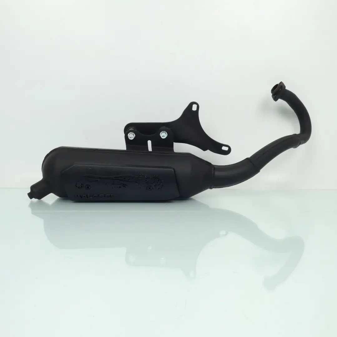 Pot échappement Malossi Wild Lion pour scooter Gilera 50 Runner Sp Lc Avant 200