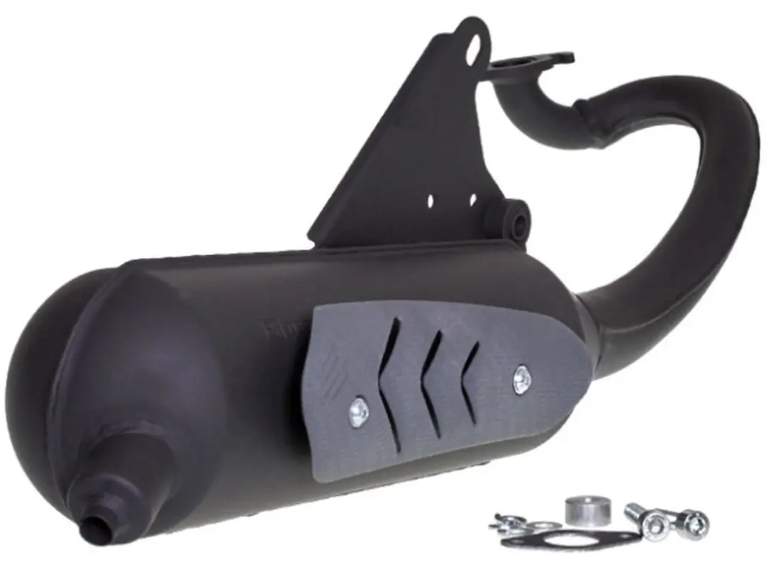 Pot d échappement Polini pour Scooter PGO 50 Big max Avant 2020 200.0319 Neuf