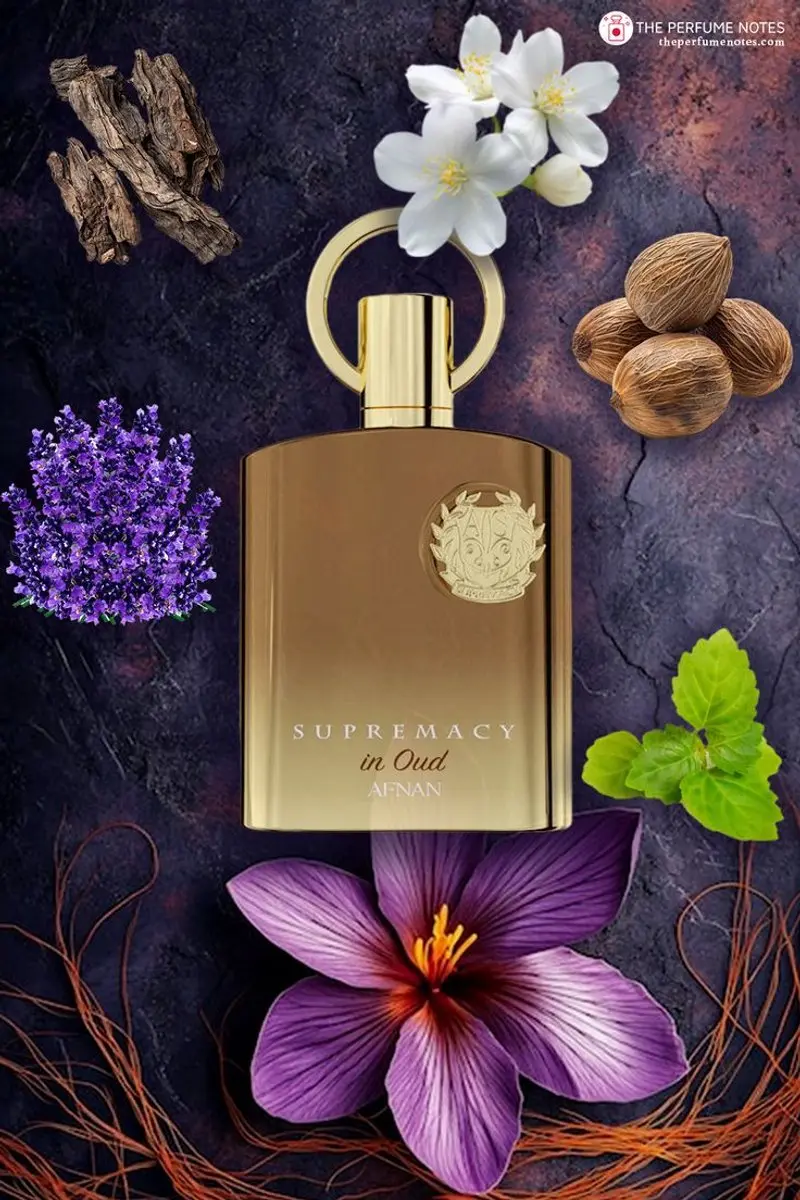 Afnan Supremacy Parfum 100ml - afbeelding 5 van 6