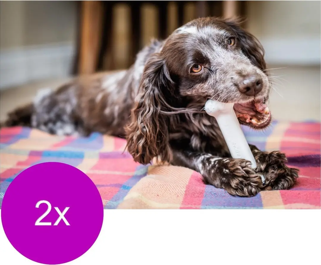 Nylabone Durachew Bone Wolf M