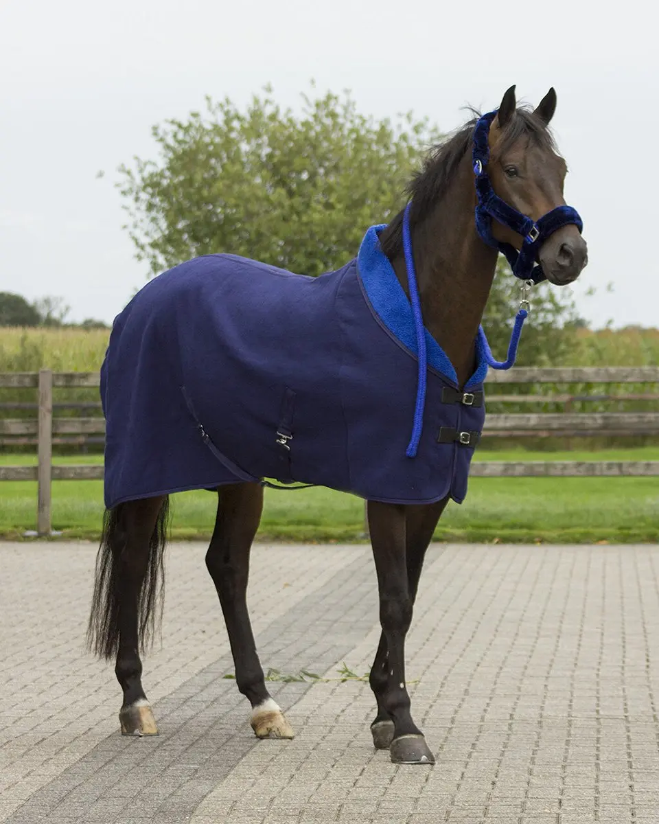 QHP Halster Alaska Blauw - Pony