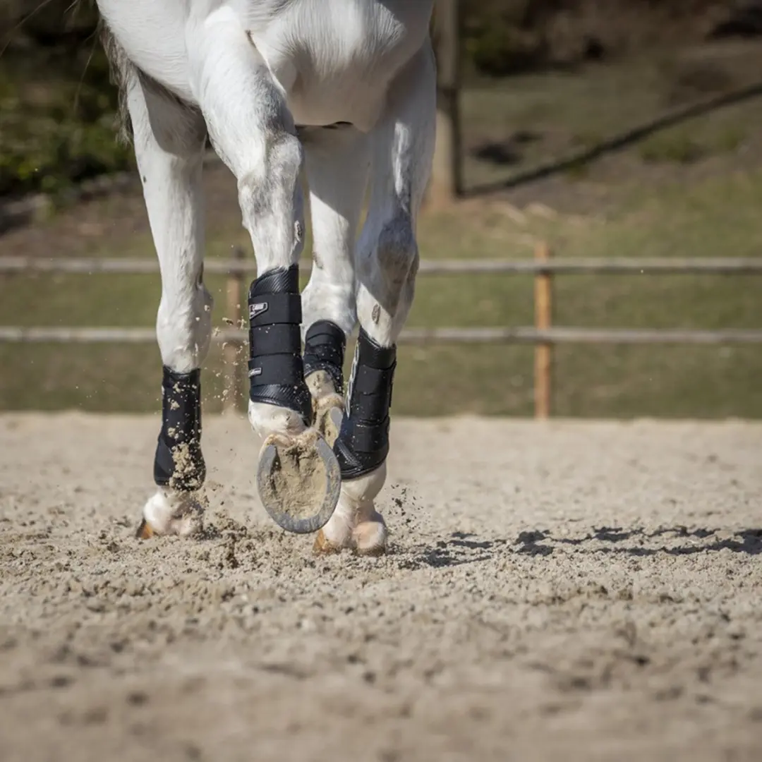 Lemieux Carbon Air Xc Beenbeschermers - Achterbenen S - 2 Stuks