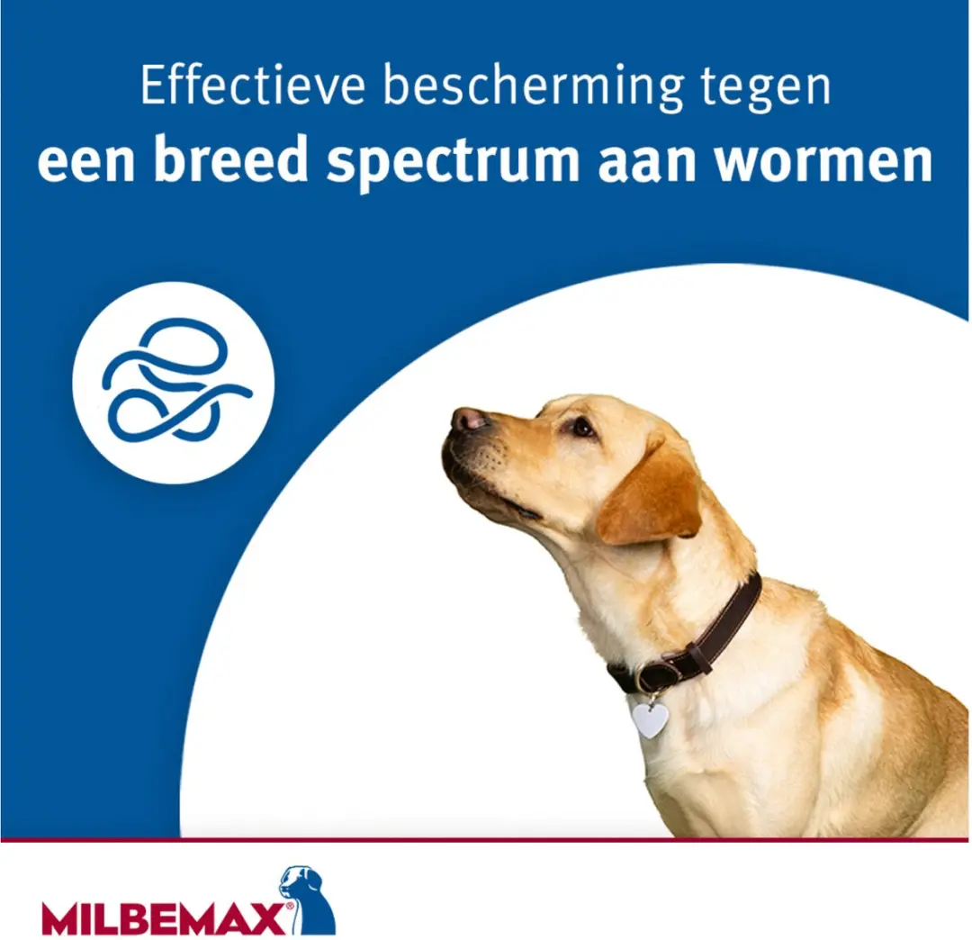 Milbemax Kauwtablet Hond vanaf 5kg - 4 Stuks