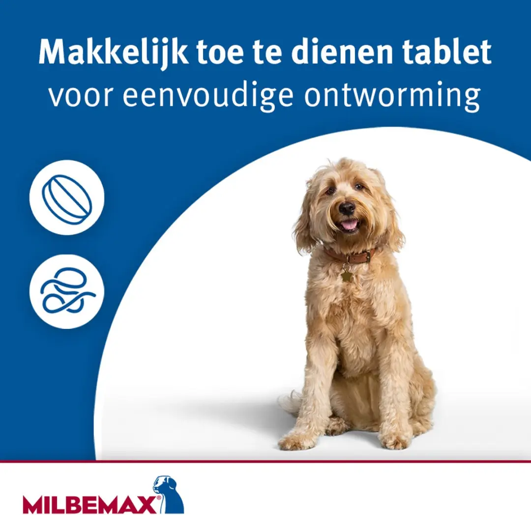 Milbemax Kauwtablet Hond vanaf 5kg - 4 Stuks - afbeelding 6 van 6
