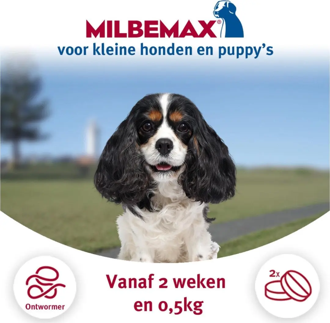Milbemax Pup & Hond Anti-wormtabletten 2 Stuks - 0,5-10kg