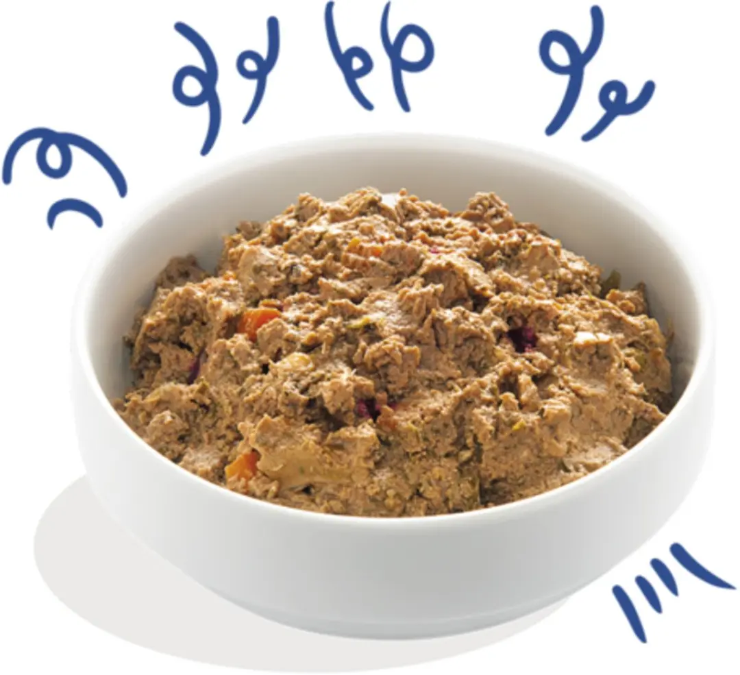 Edgard & Cooper Kuipje Salmon Turkey Adult - 150g