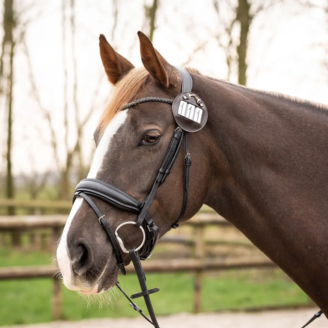 QHP Startnummer Ricki Bruin/Goud