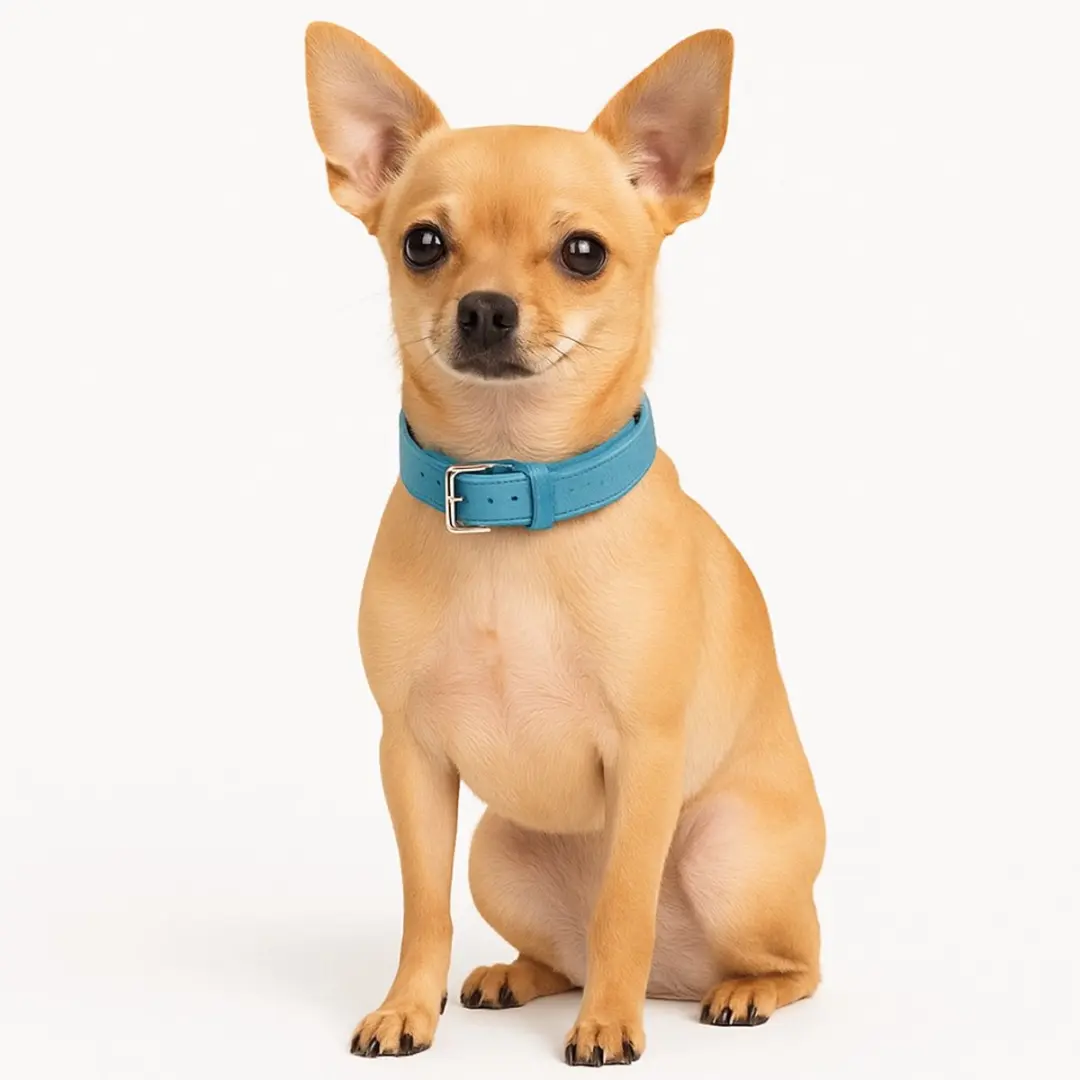 Nobleza Hondenhalsband Kleine Hond