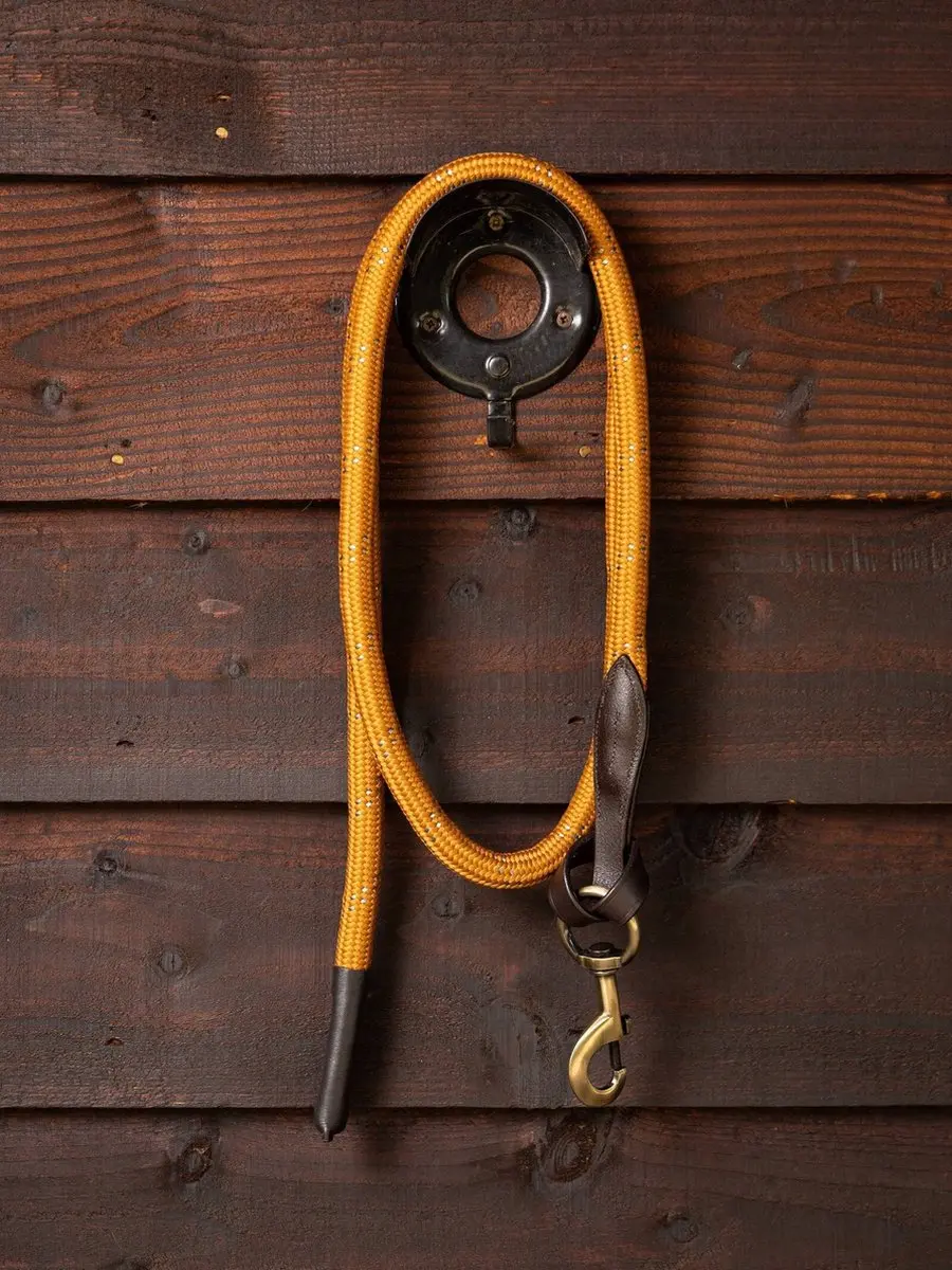 LeMieux Lasso Halstertouw FW24 Ginger