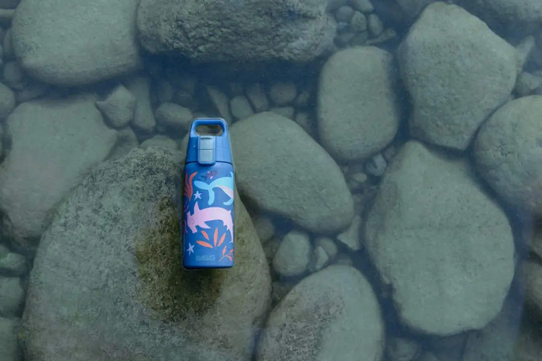 Sigg Blue World Drinkfles 0,25L - Groen - afbeelding 5 van 6