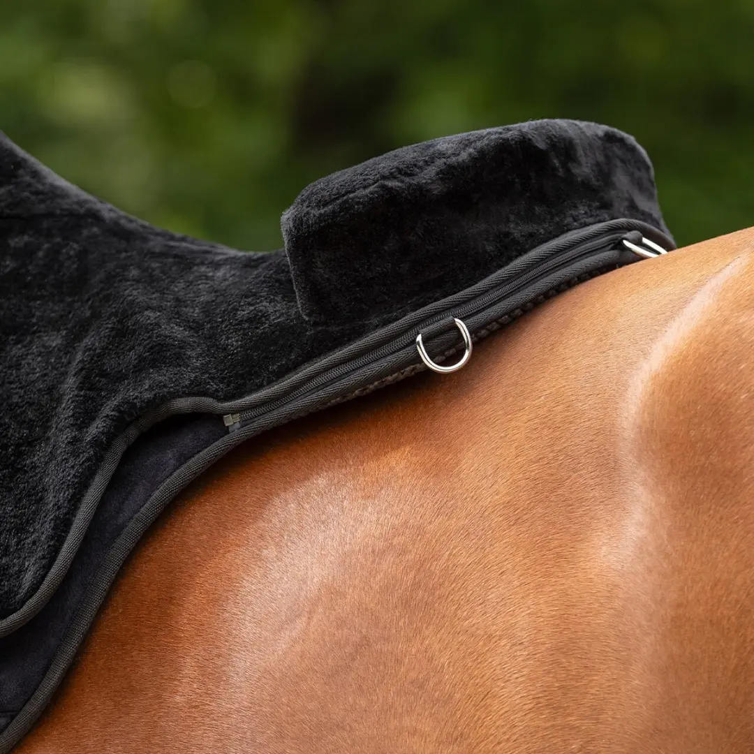 QHP Bareback Pad Super Soft - Cob Zwart