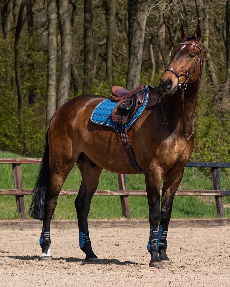 QHP Champion Peesbeschermers Full - Blauw