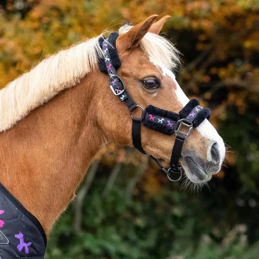 QHP Halsterset Isalyn Unicorn Dream - Maat Full