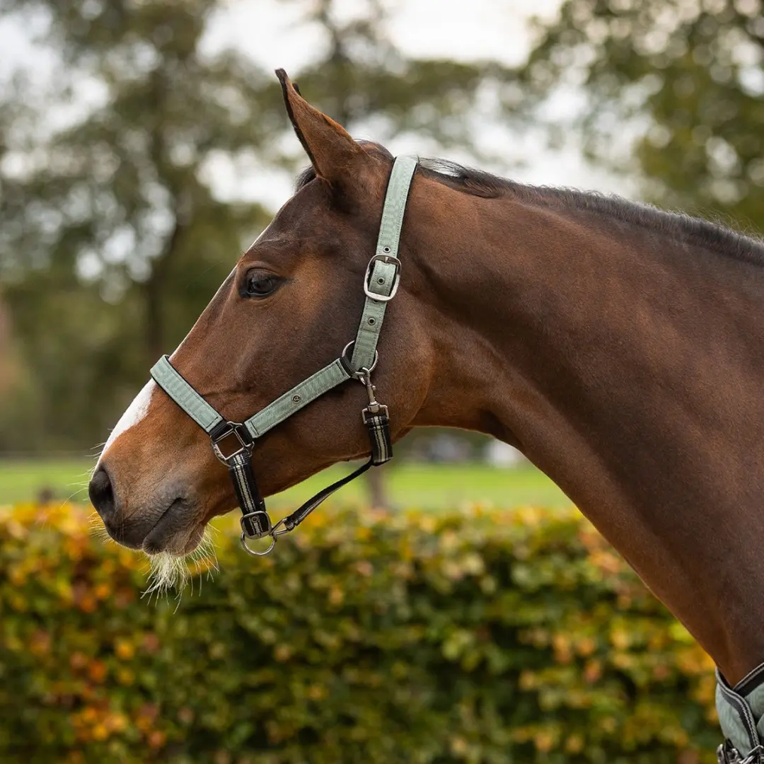QHP Halsterset Turnout Groen