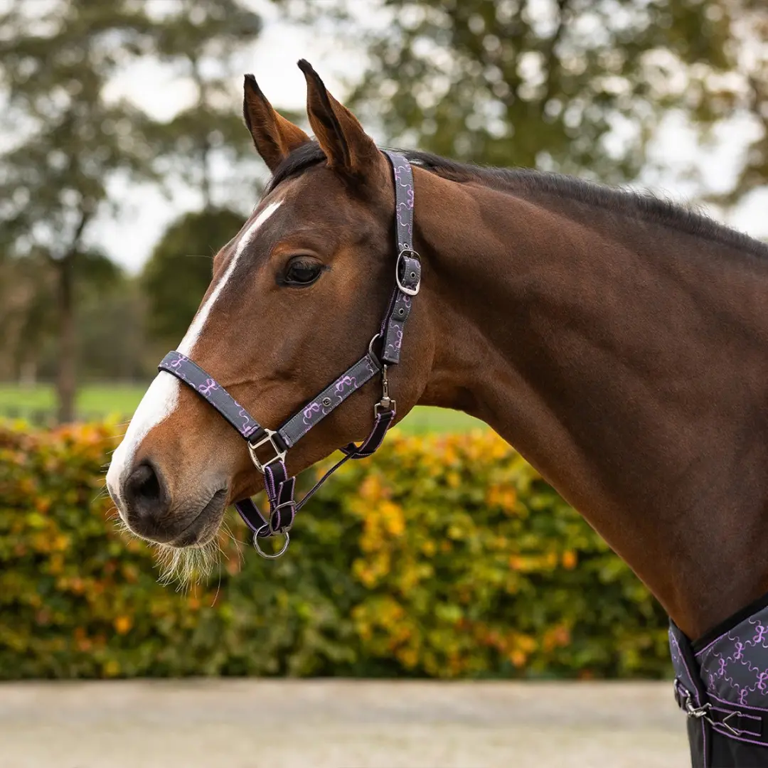 QHP Halsterset Turnout Paars
