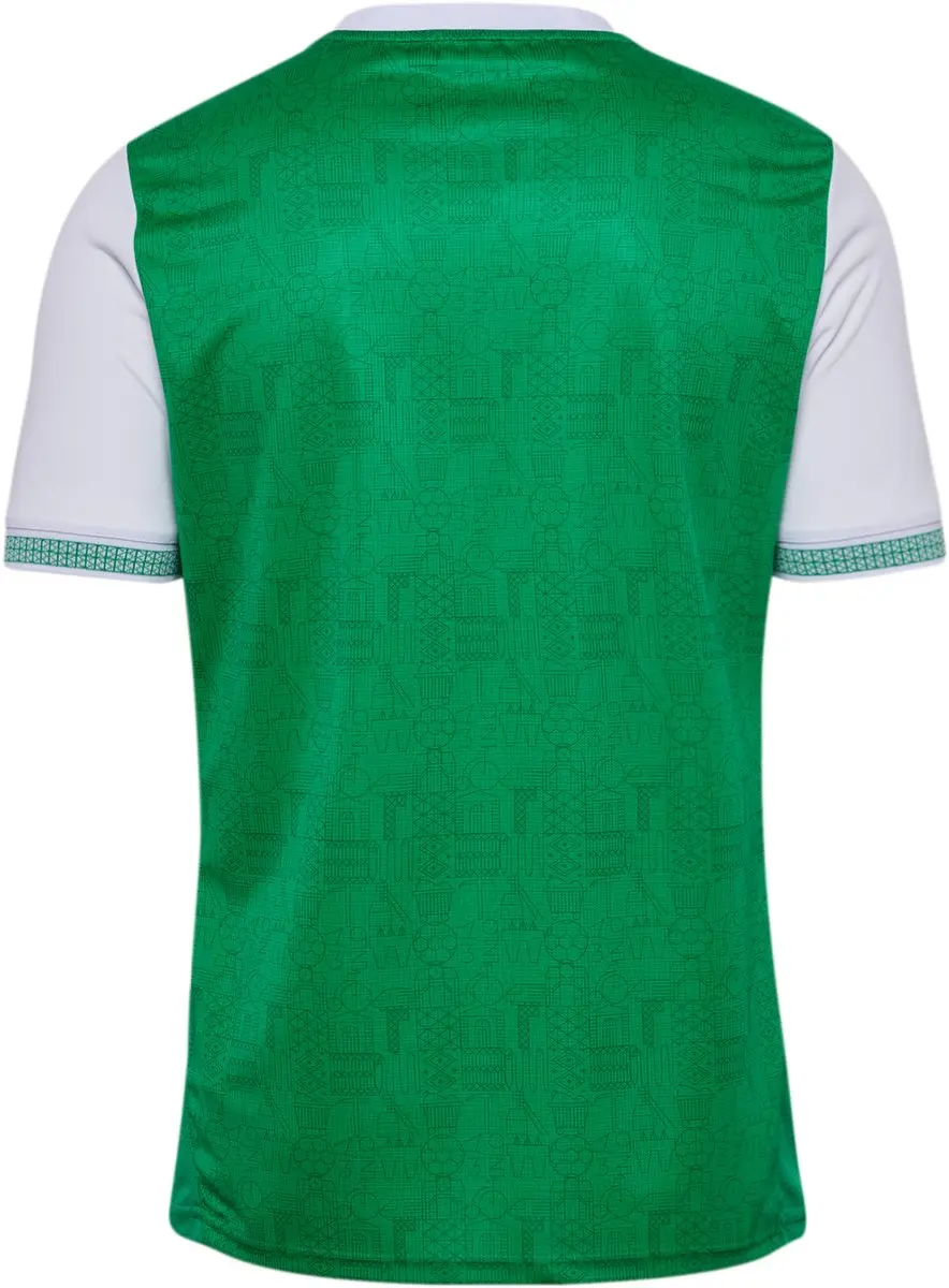 Thuiswedstrijd Shirt ASSE 2025/26